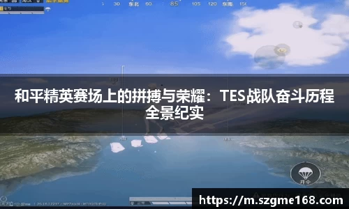 和平精英赛场上的拼搏与荣耀：TES战队奋斗历程全景纪实